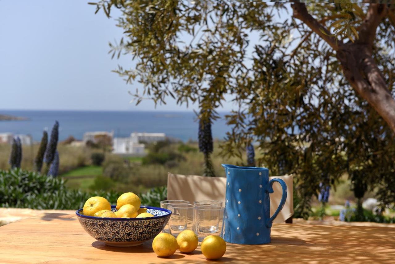 Good Life Greece Eco Villas Posidhonia  Экстерьер фото